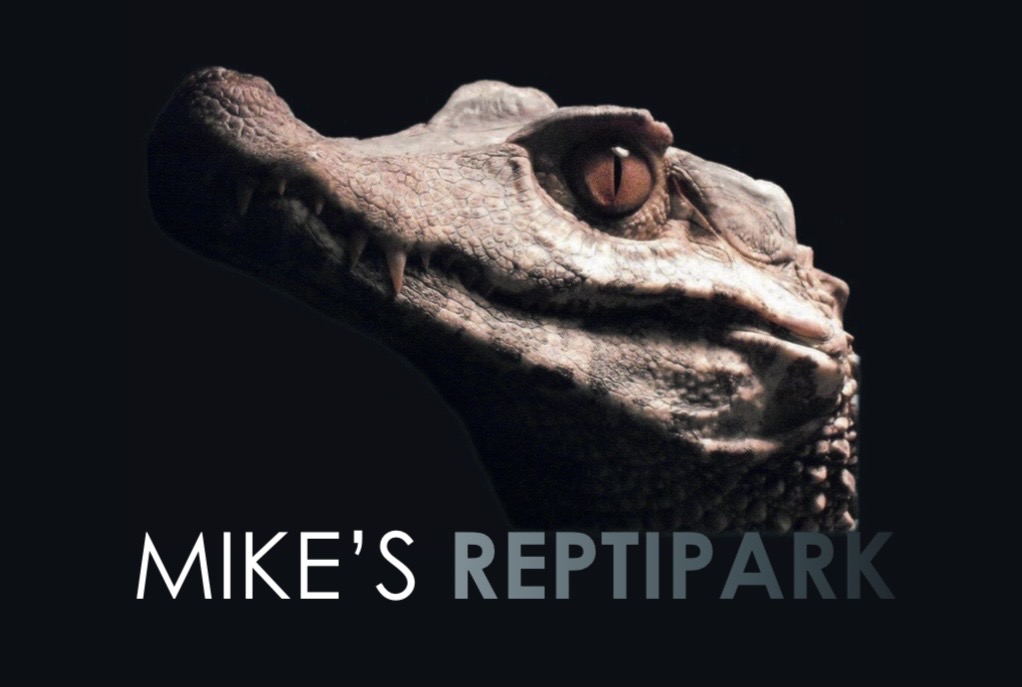 Mikes rep